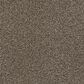 Shaw Tonal Comfort I Carpet in Summer House, , large