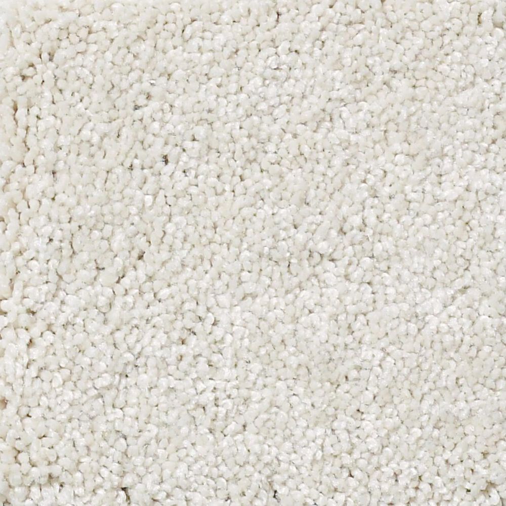 Shaw Foundations Take The Floor Texture II Carpet in Modest, , large