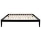 Linden Boulevard Polly King Platform Bed without Headboard in Black, , large