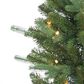 The Gerson Company 6.5" Pre-Lit Artificial Natural Cut Narrow Dover Pine with White Lights in Green, , large