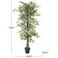 Maple and Jade Indoor/Outdoor Tall Artificial Ficus with Black Plastic Pot in Green and Brown, , large