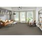 Phenix Luna Carpet in Landmark, , large