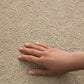 Philadelphia Champagne Taste I Carpet in Cashew, , large