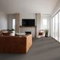 Shaw Imaginable II Carpet in Sparrow, , large