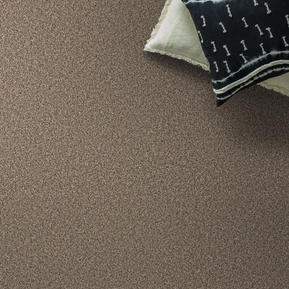 Shaw Higher Ground II Carpet in Rodeo, , large