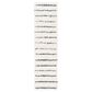 Safavieh Venus Shag VNS604B 2"2" x 10" Ivory and Dark Grey Runner, , large