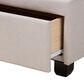 Baxton Studio Larese Queen Beige Fabric Upholstered Storage Bed with 2 Drawers in Black, , large