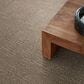 Anderson Tuftex Diego Carpet in Broken Arrow, , large