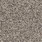 Shaw Affirmation I Carpet in Bistro, , large