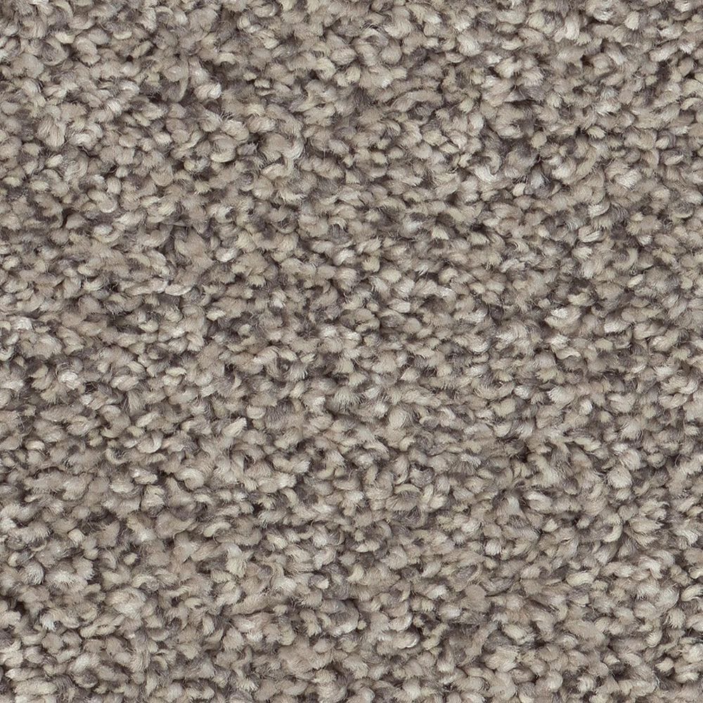 Shaw Affirmation I Carpet in Bistro, , large