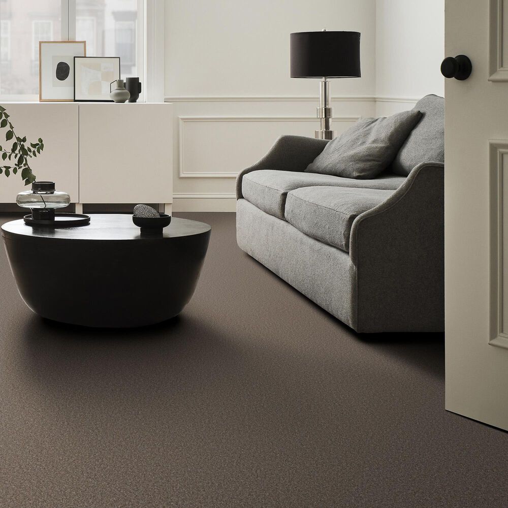 Shaw Tweed Comfort I Carpet in Gathering, , large