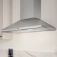Other Siena Pro 36" Wall Mount Range Hood in Stainless Steel, , large