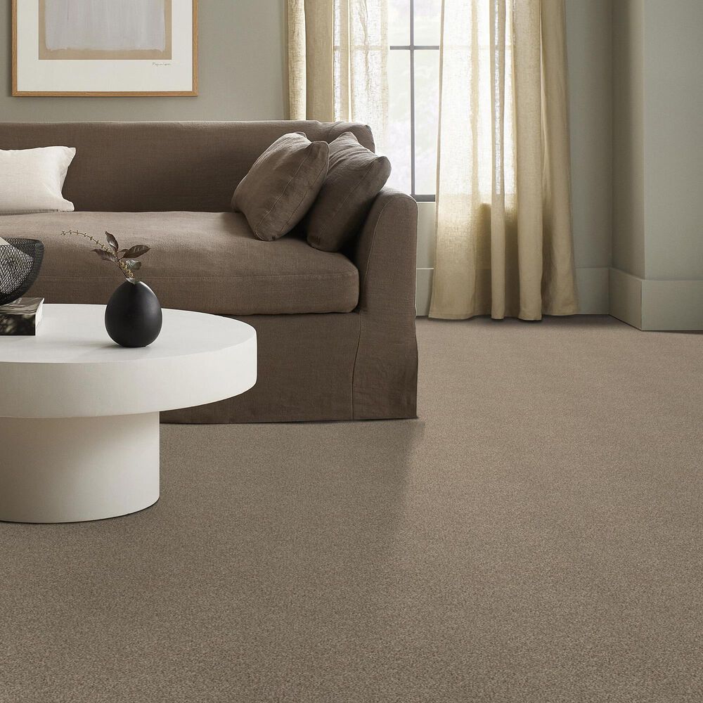 Shaw Tonal Comfort I Carpet in Camping Trip, , large