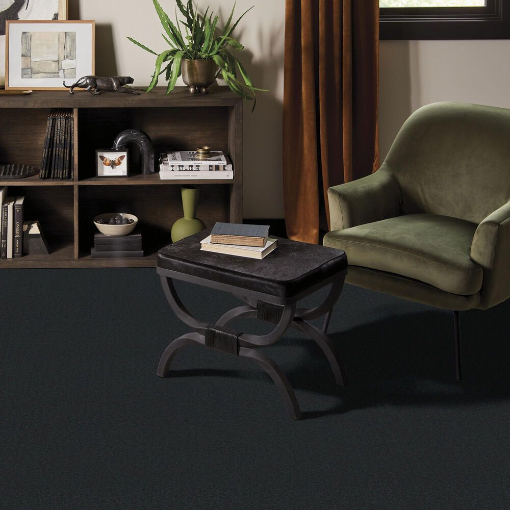 Anderson Tuftex Finery Carpet in Onyx, , large