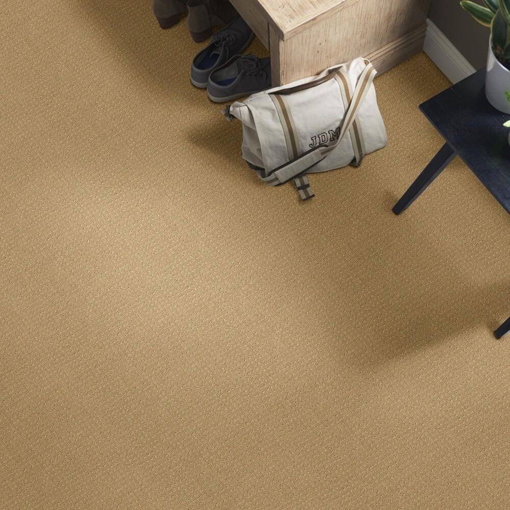 Shaw Detailed Elegance Patterned Carpet in Honey Pot, , large