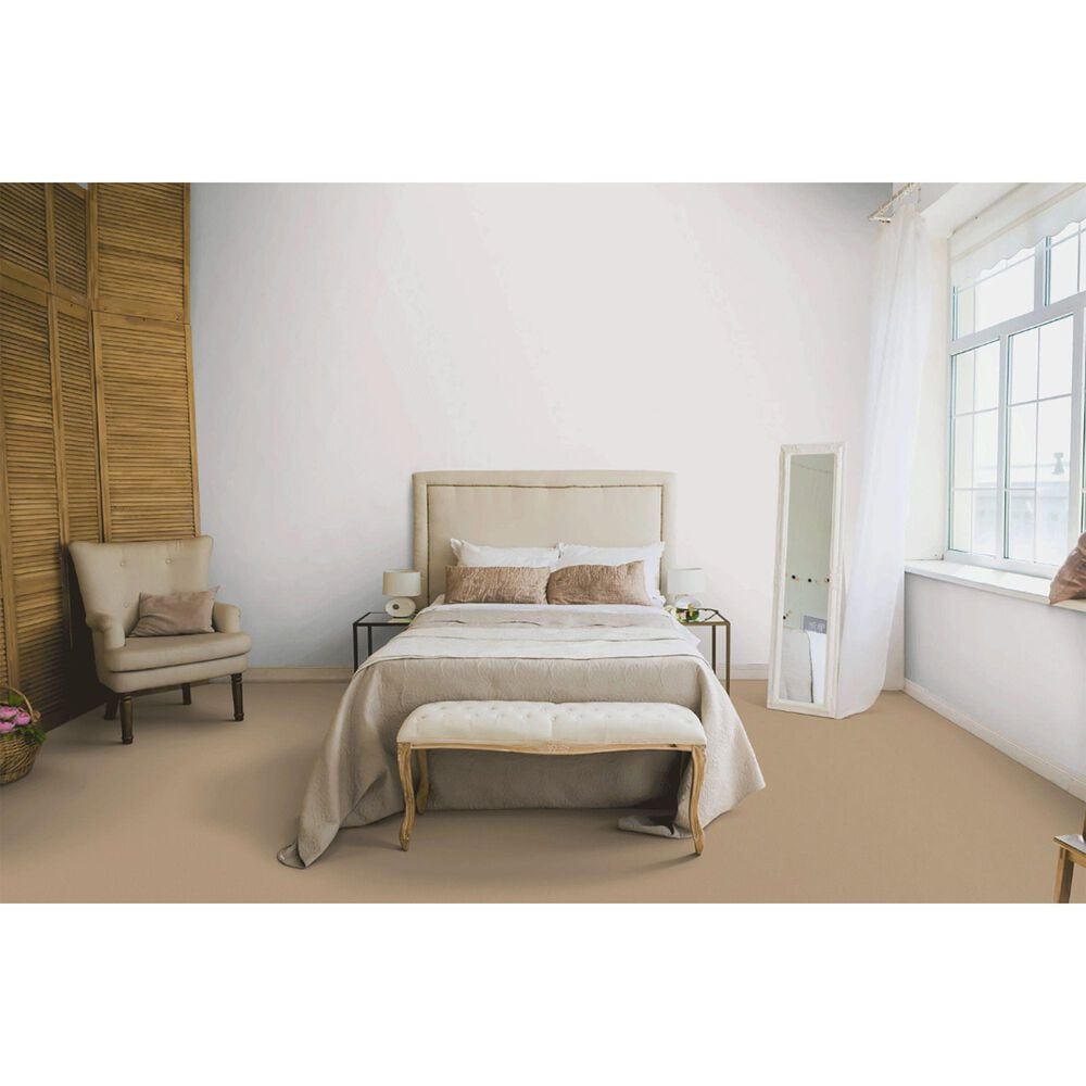 Dixie Home Gladys Carpet in Seashell, , large