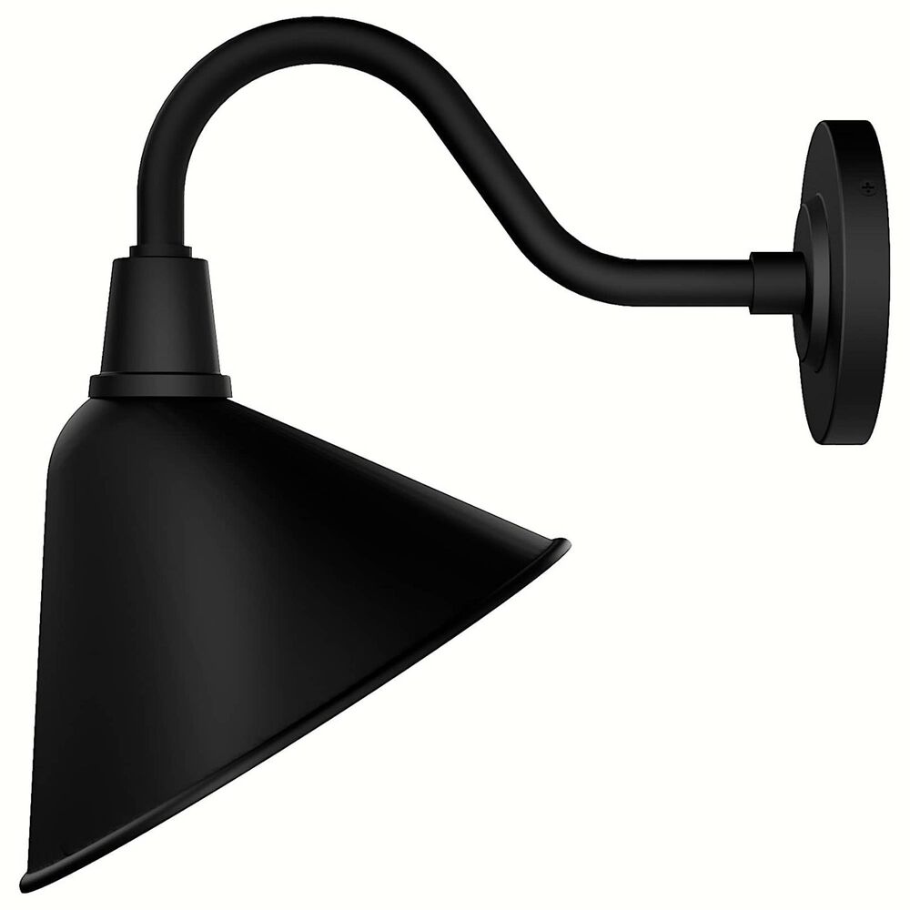Hunter Cassius 1-Light Outdoor Medium Wall Light in Matte Black, , large