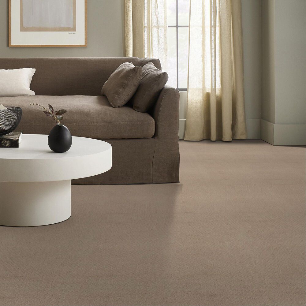 Anderson Tuftex West Fork Carpet in Terrazo, , large