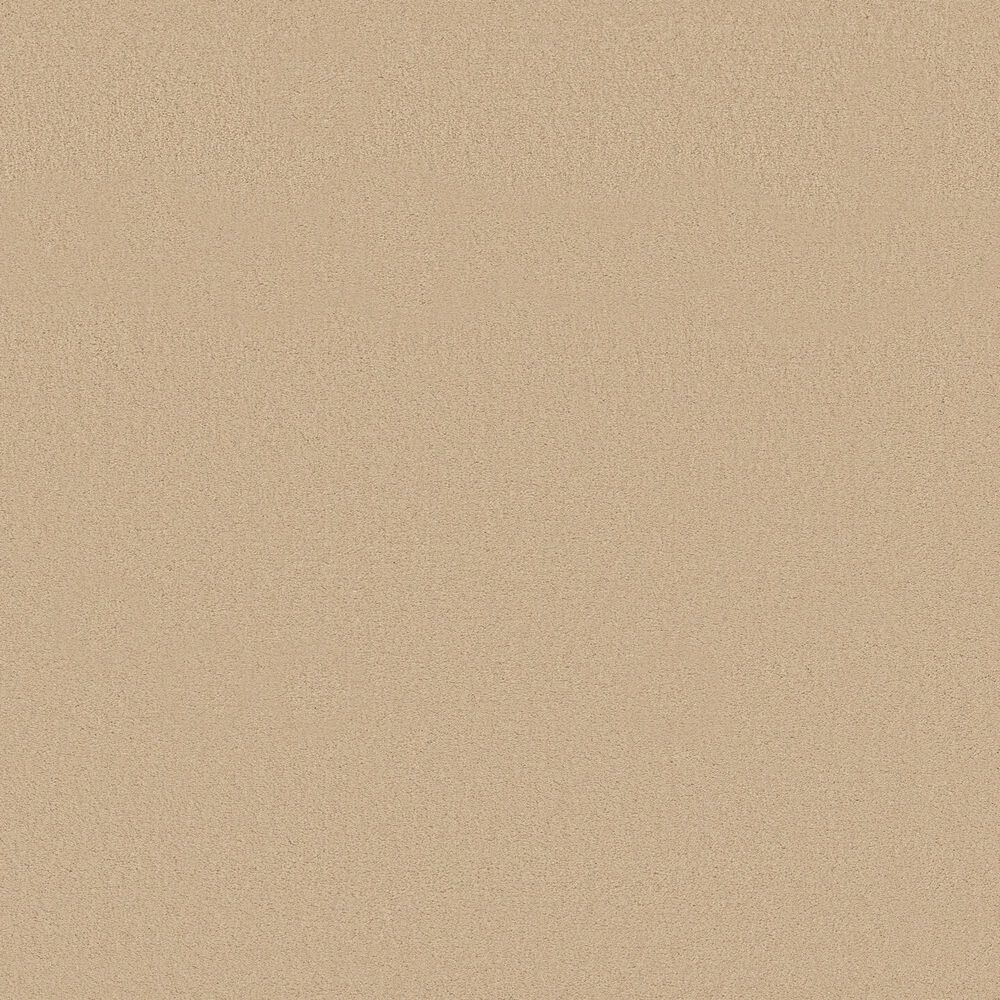 Anderson Tuftex Finery Carpet in Fresh Cream, , large