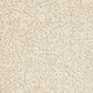 Mohawk Memorable View Carpet in Mission, , large