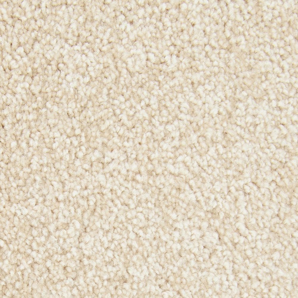 Mohawk Memorable View Carpet in Mission, , large