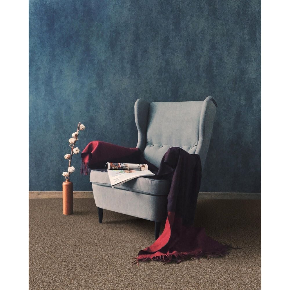 Dream Weaver Toast of The Town Carpet in Oakfield, , large