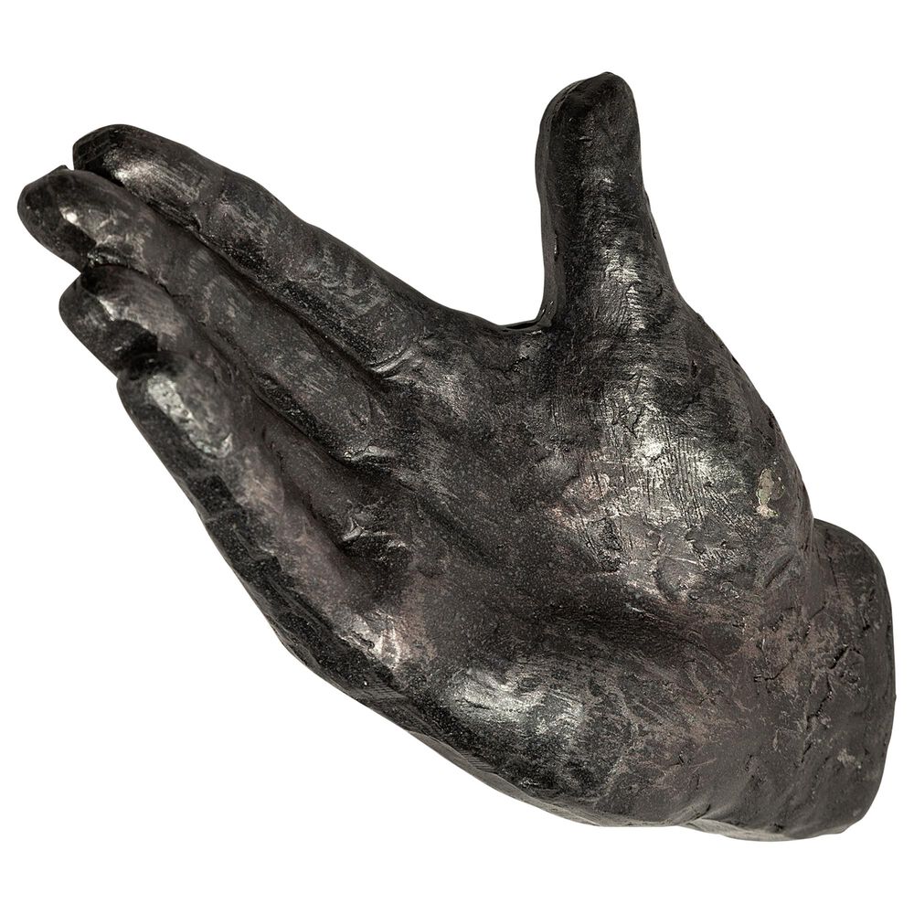 Mercana Handspeak VI "Put 'er there" Hand Wall Art, , large