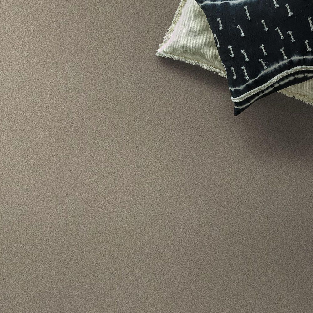 Shaw Tonal Comfort Ii Carpet in Dockside View, , large