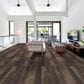 Shaw Symbiotic 12 Sorrel 6" x 48" Luxury Vinyl Tile, , large