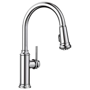 Blanco Empressa Pull-Down Kitchen Faucet 1.5 GPM in Chrome, , large