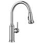 Blanco Empressa Pull-Down Kitchen Faucet 1.5 GPM in Chrome, , large