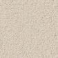 Anderson Tuftex Finery Carpet in Arctic Hare, , large