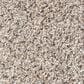 Shaw Foundations Take The Floor Accent II Carpet in Riverbed, , large
