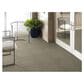 Shaw Multiplicity Carpet in Batch, , large