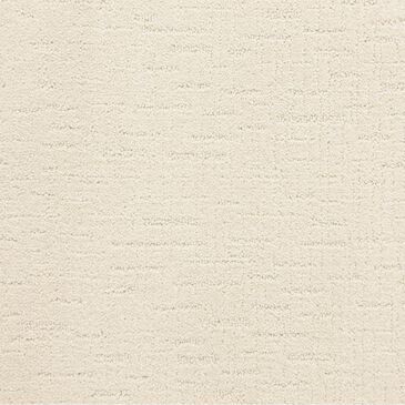 Dixie Home Courage Carpet in Elite, , large