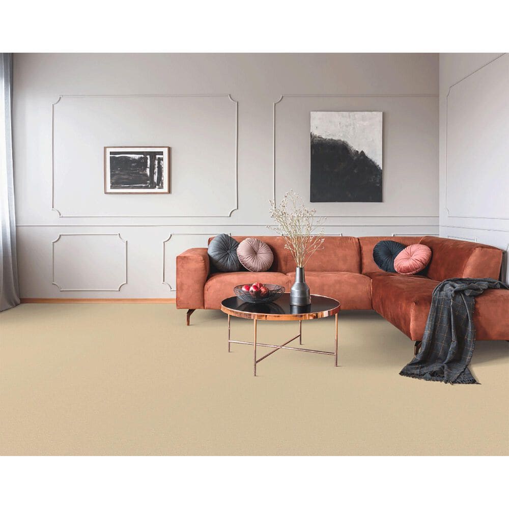 Dixie Home Neverland Carpet in Everlast, , large