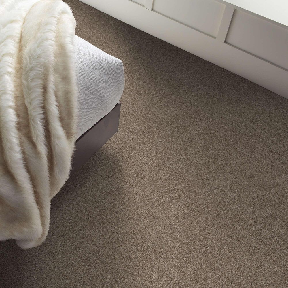 Shaw Grand Outlook Carpet in Hearth Stone, , large