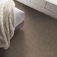 Shaw Grand Outlook Carpet in Hearth Stone, , large