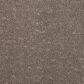 Mohawk Mineral Effects Carpet in Lead, , large