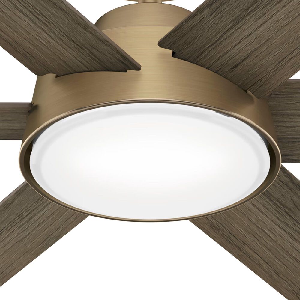 Hunter Donatella 52&quot; Ceiling Fan with LED Lights in Burnished Brass, , large