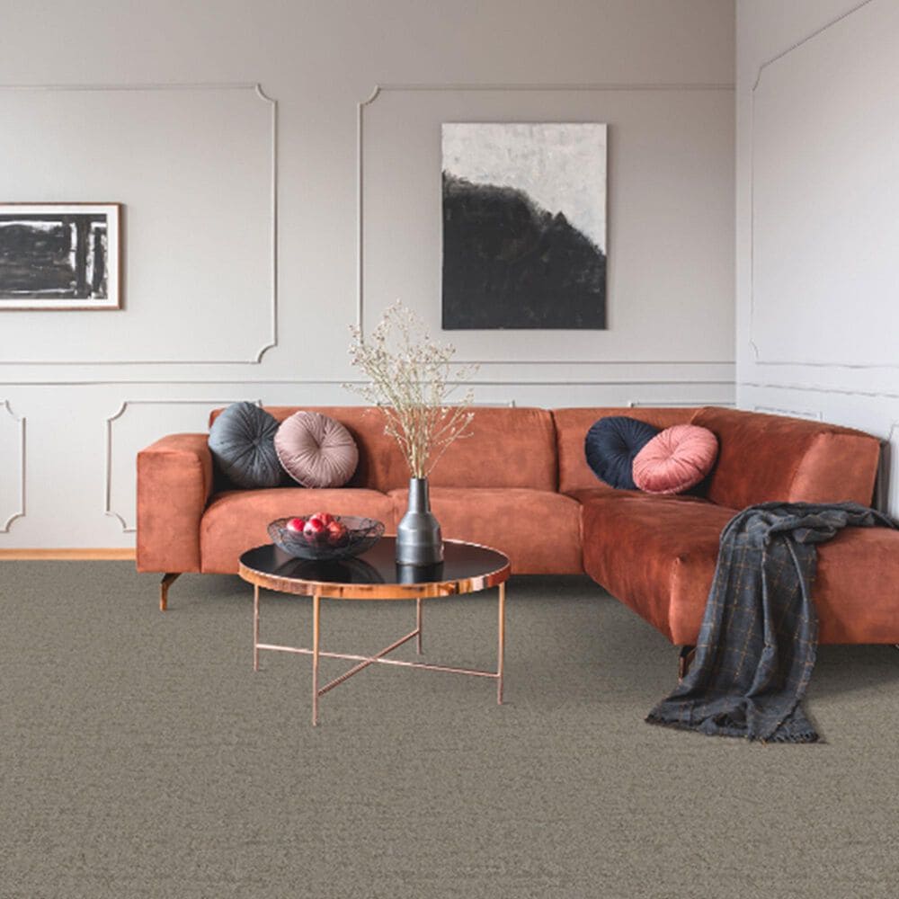 Dixie Home Genuine Carpet in Undeniable, , large