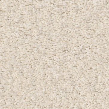 Anderson Tuftex Elegant Beauty Carpet in Cloud, , large