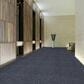 Shaw Rousing Review Carpet in Sensational, , large