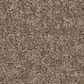 Philadelphia Champagne Taste II Carpet in Timberlake, , large