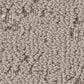 Anderson Tuftex Discover Carpet in Pebble Bath, , large