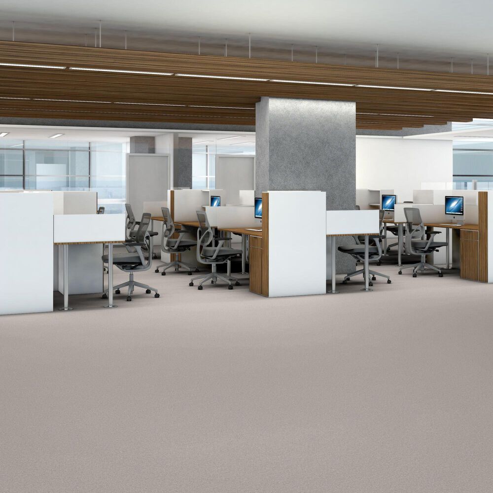 Shaw You Got This III Carpet in Whitecap, , large