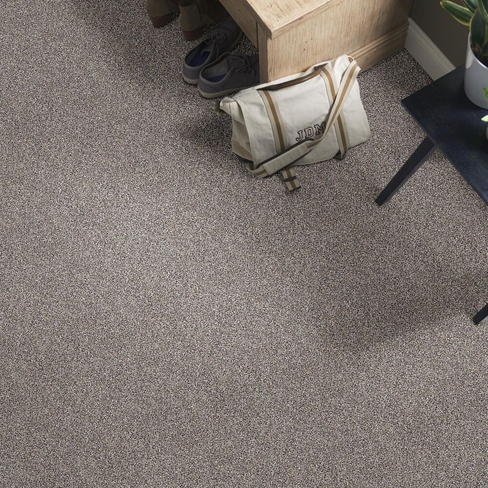 Shaw Simply the Best After It I Carpet in Reflection, , large