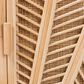 Baxton Studio Carabella 2-Door Rattan Storage Cabinet in Natural, , large