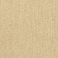 Dixie Home Legacy Carpet in Burlywood, , large