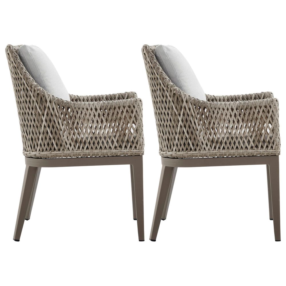Blue River Silvana Outdoor Dining Chair with Beige Cushion in Gray (Set of 2), , large